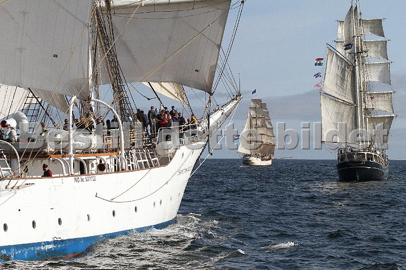 TSR2011_2 846.JPG